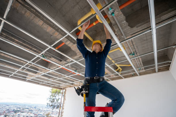 Best Local Plumber Services  in Aromas, CA