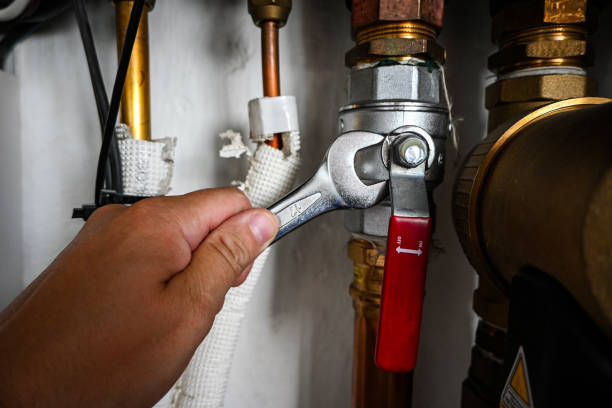 Best Clogged Drain Plumber  in Aromas, CA